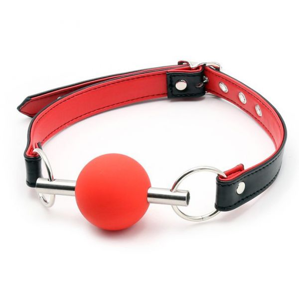 Metal Rod Silicone Ball Gags Red